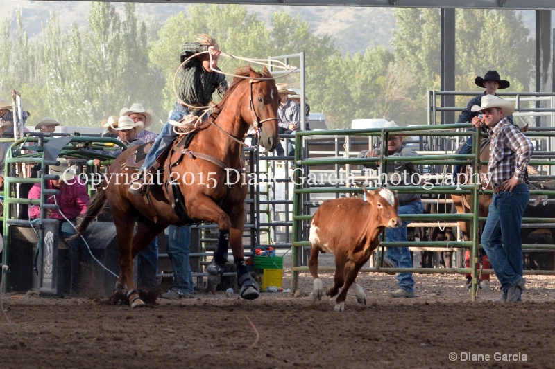 caden drake jr high rodeo nephi 2015 1 - ID: 14991856 © Diane Garcia