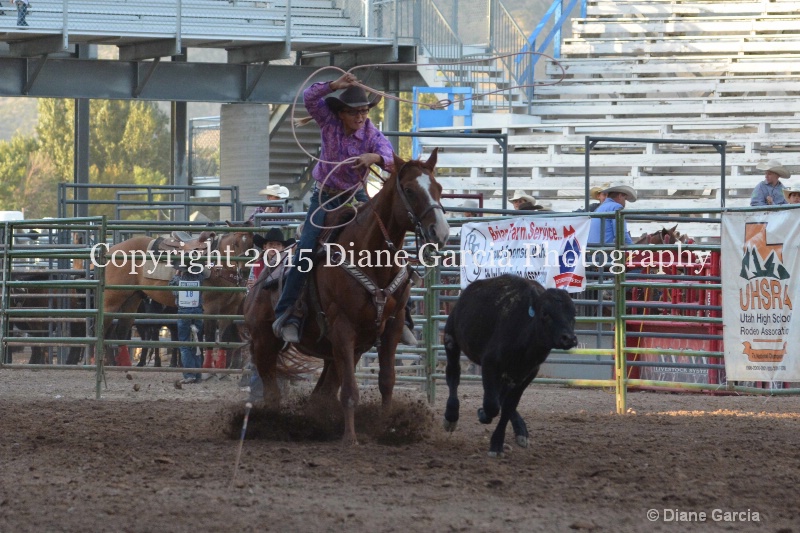 brynnlee allred jr high rodeo nephi 2015 5 - ID: 14991858 © Diane Garcia