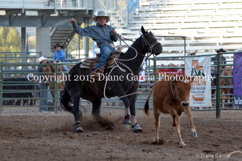 brek sanderson jr high rodeo nephi 2015 4 - ID: 14991859 © Diane Garcia