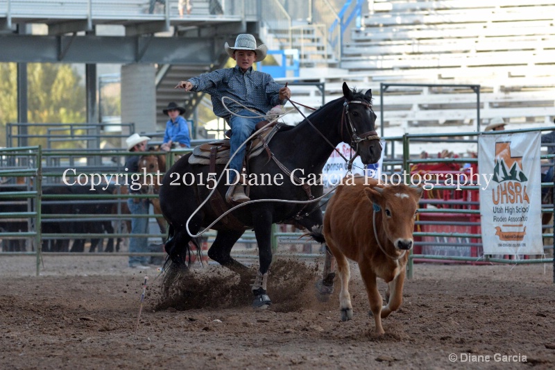 brek sanderson jr high rodeo nephi 2015 3 - ID: 14991860 © Diane Garcia