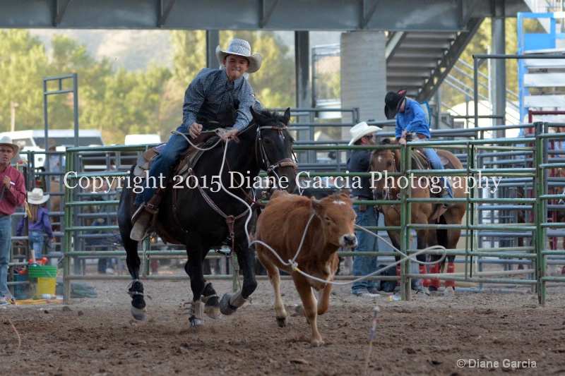 brek sanderson jr high rodeo nephi 2015 2 - ID: 14991861 © Diane Garcia