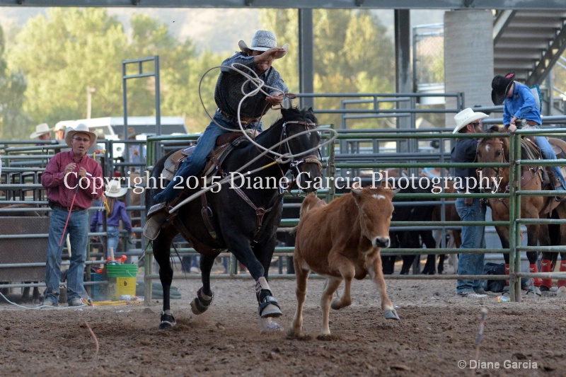 brek sanderson jr high rodeo nephi 2015 1 - ID: 14991862 © Diane Garcia