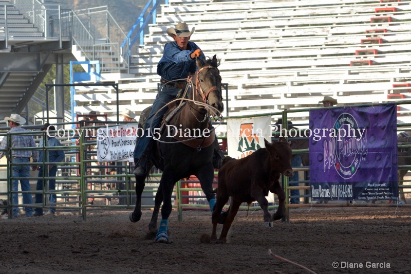 brek kirkland jr high rodeo nephi 2015 1 - ID: 14991863 © Diane Garcia