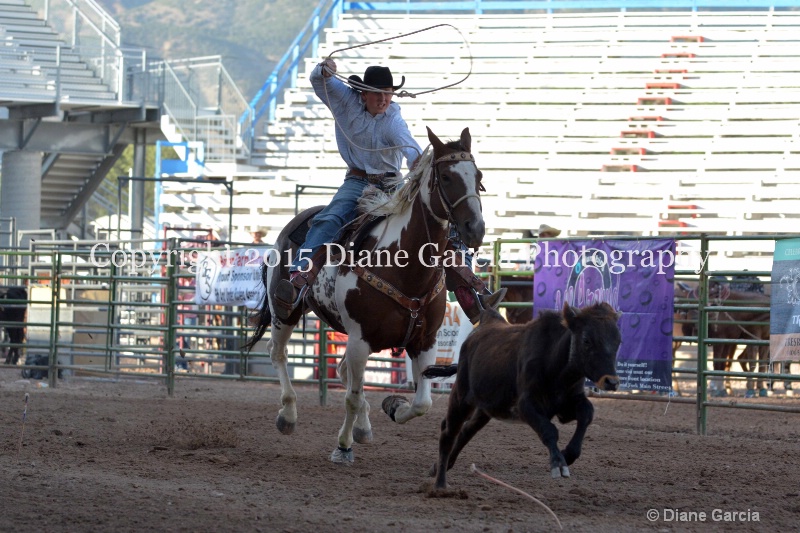 brayden burnside jr high rodeo nephi 2015 1 - ID: 14991864 © Diane Garcia