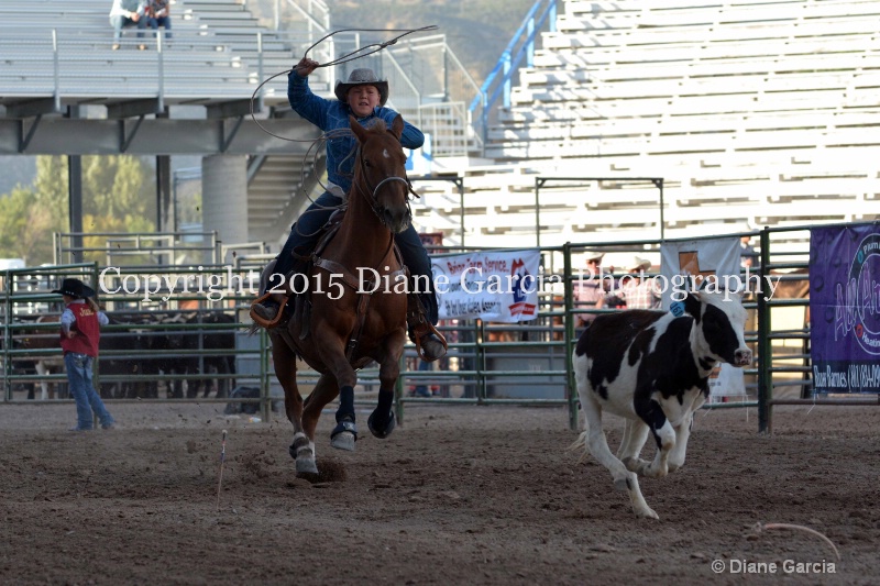 brandon youd jr high rodeo nephi 2015 1 - ID: 14991865 © Diane Garcia