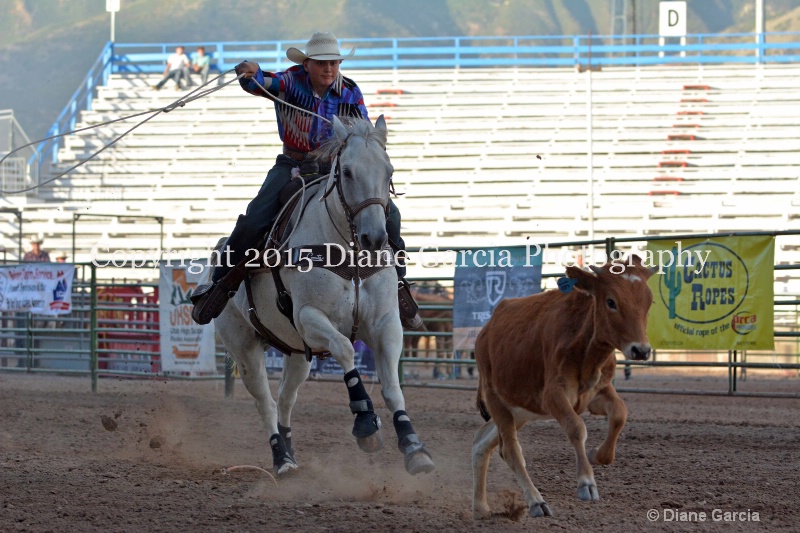 boone latham jr high rodeo nephi 2015 1 - ID: 14991866 © Diane Garcia