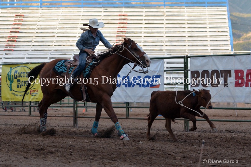 birklee jones jr high rodeo nephi 2015 8 - ID: 14991868 © Diane Garcia