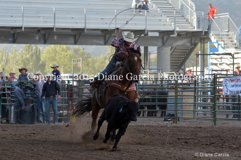 beretta bradford jr high rodeo nephi 2015 1 - ID: 14991869 © Diane Garcia