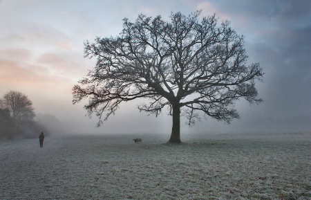 Foggy Icy Morning in Maidenhead