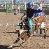 © Diane Garcia PhotoID# 14992720: wyatt crandall jr high rodeo nephi 2015 4