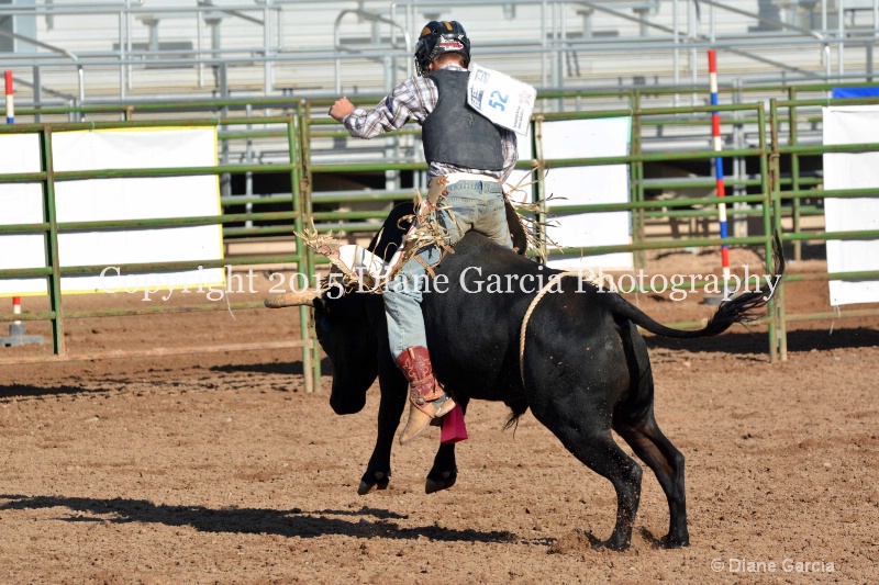 brek sanderson jr high rodeo nephi 2015 15 - ID: 14992816 © Diane Garcia