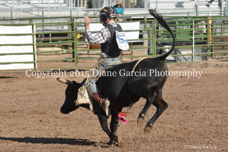brek sanderson jr high rodeo nephi 2015 14 - ID: 14992817 © Diane Garcia