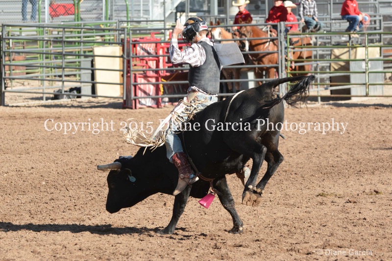 brek sanderson jr high rodeo nephi 2015 13 - ID: 14992818 © Diane Garcia