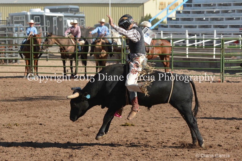 brek sanderson jr high rodeo nephi 2015 12 - ID: 14992819 © Diane Garcia