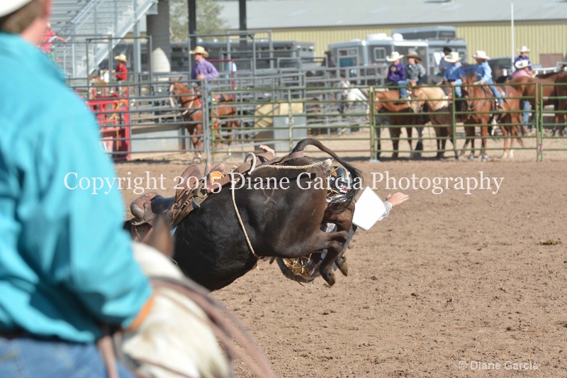 brek sanderson jr high rodeo nephi 2015 11 - ID: 14992820 © Diane Garcia