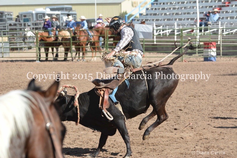 brek sanderson jr high rodeo nephi 2015 10 - ID: 14992821 © Diane Garcia