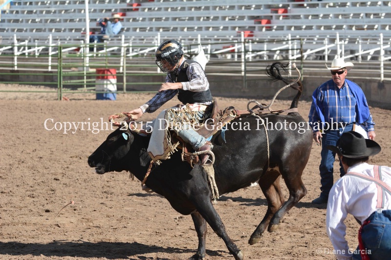 brek sanderson jr high rodeo nephi 2015 9 - ID: 14992822 © Diane Garcia