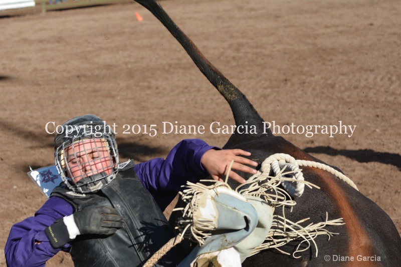boone latham jr high rodeo nephi 2015 8 - ID: 14992824 © Diane Garcia