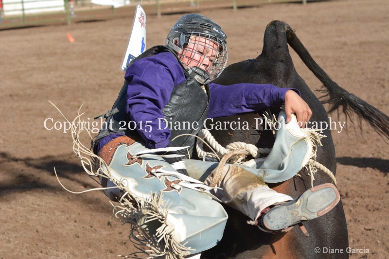 boone latham jr high rodeo nephi 2015 7 - ID: 14992825 © Diane Garcia