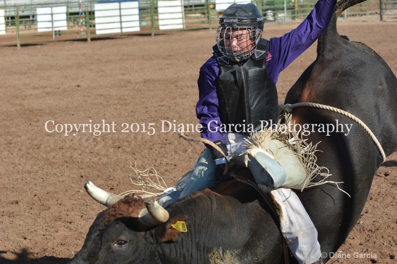 boone latham jr high rodeo nephi 2015 6 - ID: 14992826 © Diane Garcia