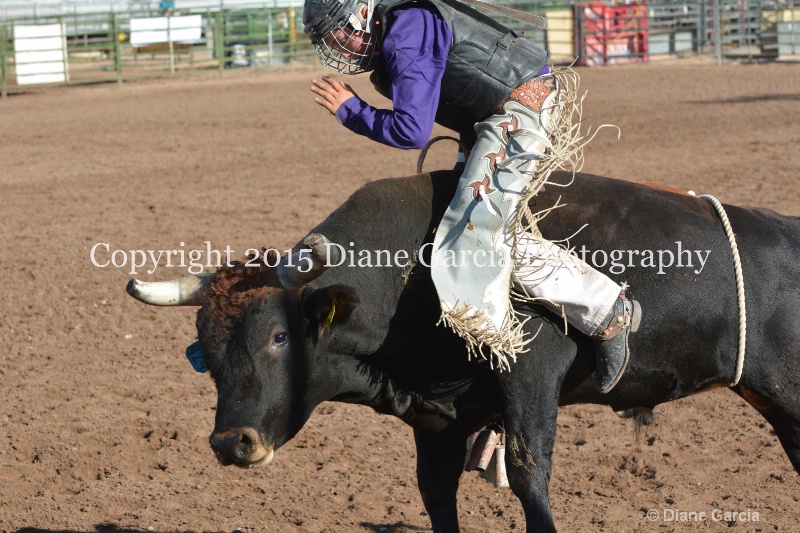 boone latham jr high rodeo nephi 2015 5 - ID: 14992827 © Diane Garcia