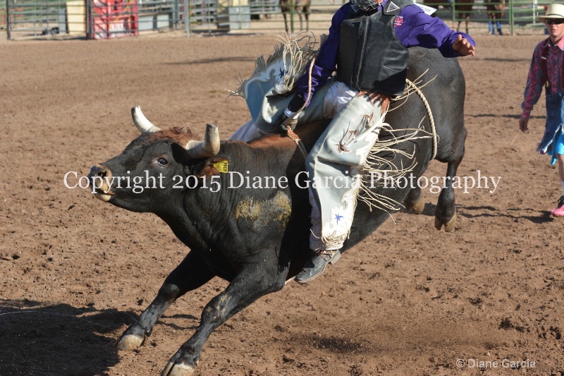 boone latham jr high rodeo nephi 2015 4 - ID: 14992828 © Diane Garcia