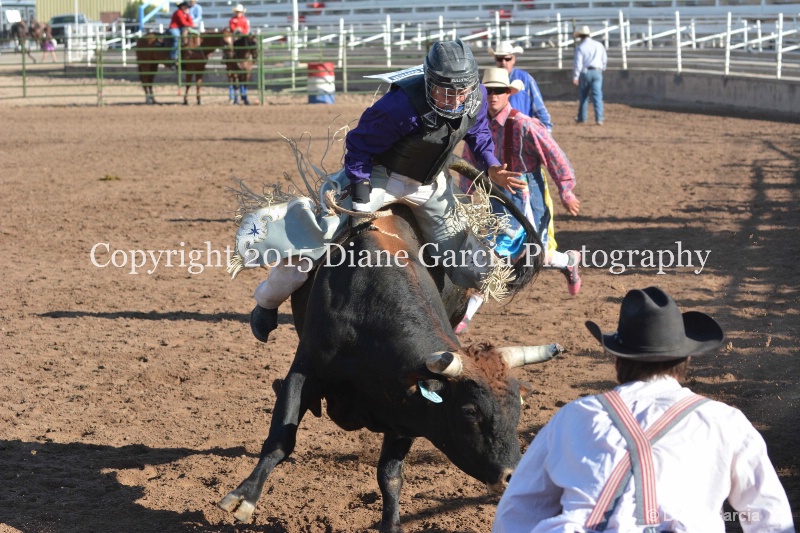 boone latham jr high rodeo nephi 2015 3 - ID: 14992829 © Diane Garcia