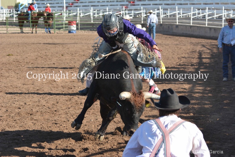 boone latham jr high rodeo nephi 2015 2 - ID: 14992830 © Diane Garcia