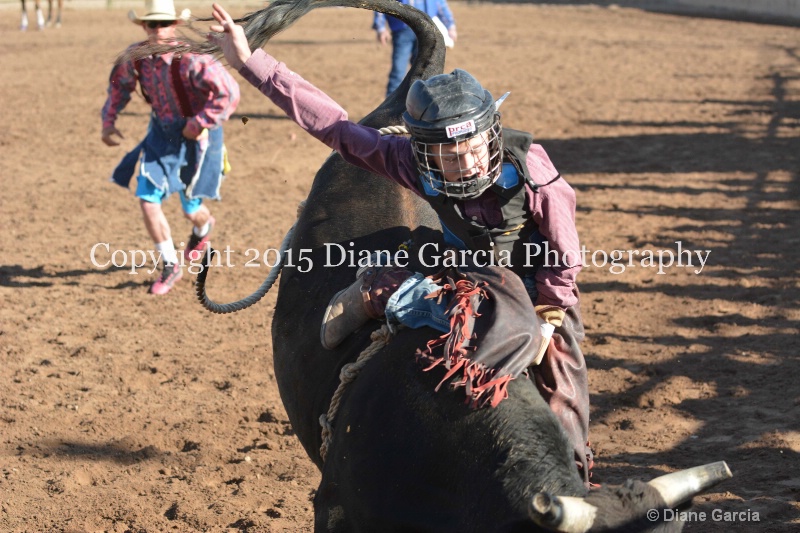 bill henry jr high rodeo nephi 2015 14 - ID: 14992831 © Diane Garcia
