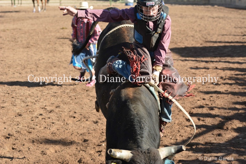bill henry jr high rodeo nephi 2015 13 - ID: 14992832 © Diane Garcia