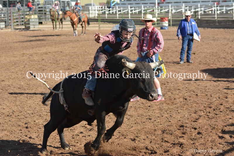 bill henry jr high rodeo nephi 2015 10 - ID: 14992835 © Diane Garcia