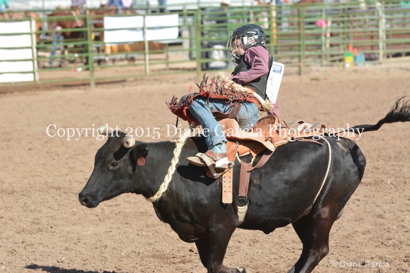 bill henry jr high rodeo nephi 2015 2 - ID: 14992843 © Diane Garcia
