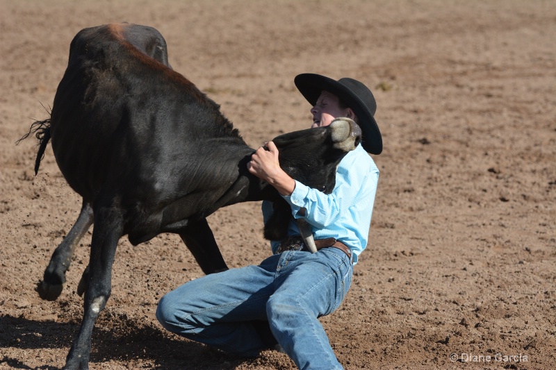 jace jones jr high rodeo nephi 2015 3 - ID: 14992874 © Diane Garcia