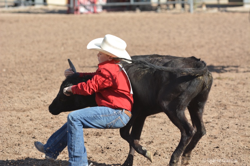 jace hanks jr high rodeo nephi 2015 1 - ID: 14992881 © Diane Garcia