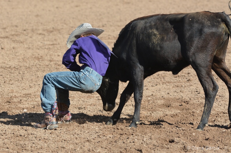 dean thompson jr high rodeo nephi 2015 2 - ID: 14992887 © Diane Garcia