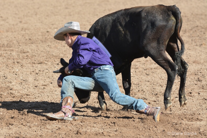 dean thompson jr high rodeo nephi 2015 1 - ID: 14992888 © Diane Garcia