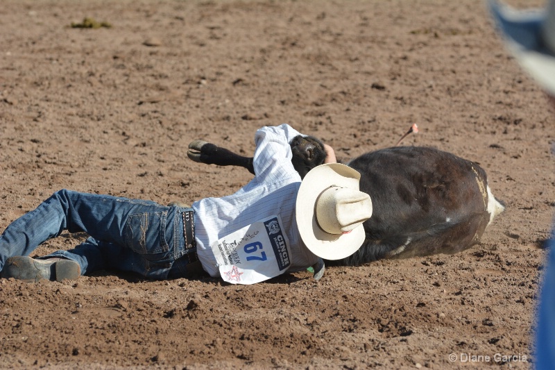 dayden johnson jr high rodeo nephi 2015 3 - ID: 14992889 © Diane Garcia