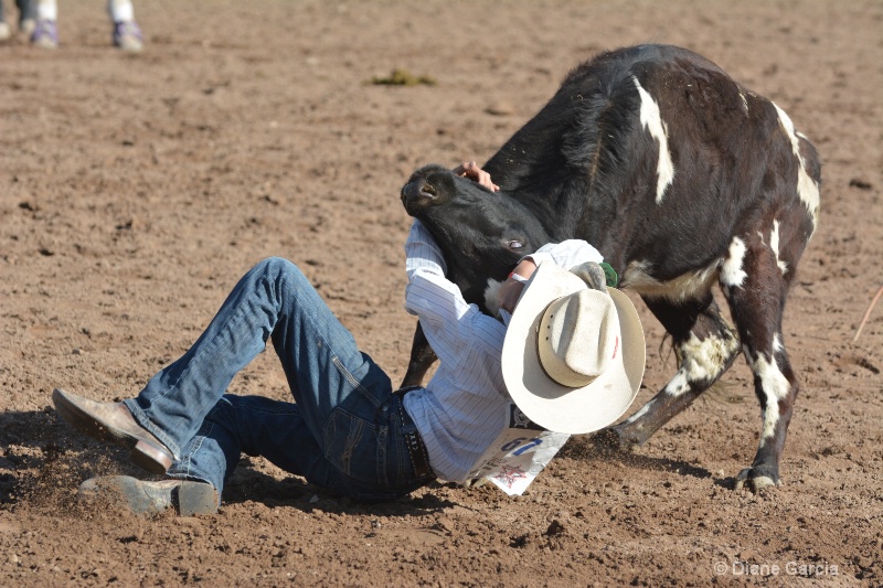 dayden johnson jr high rodeo nephi 2015 2 - ID: 14992890 © Diane Garcia