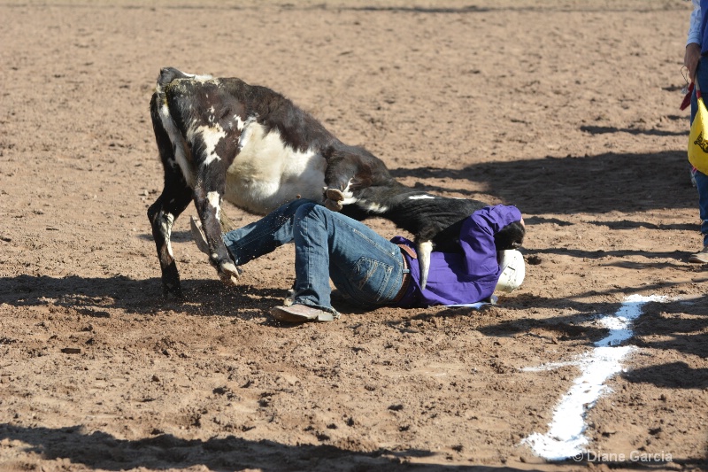 cash robb jr high rodeo nephi 2015 2 - ID: 14992896 © Diane Garcia