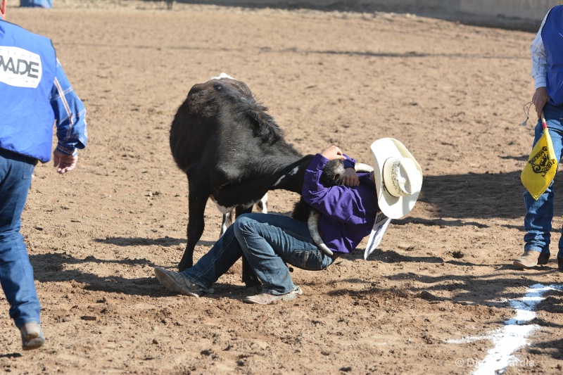 cash robb jr high rodeo nephi 2015 1 - ID: 14992897 © Diane Garcia