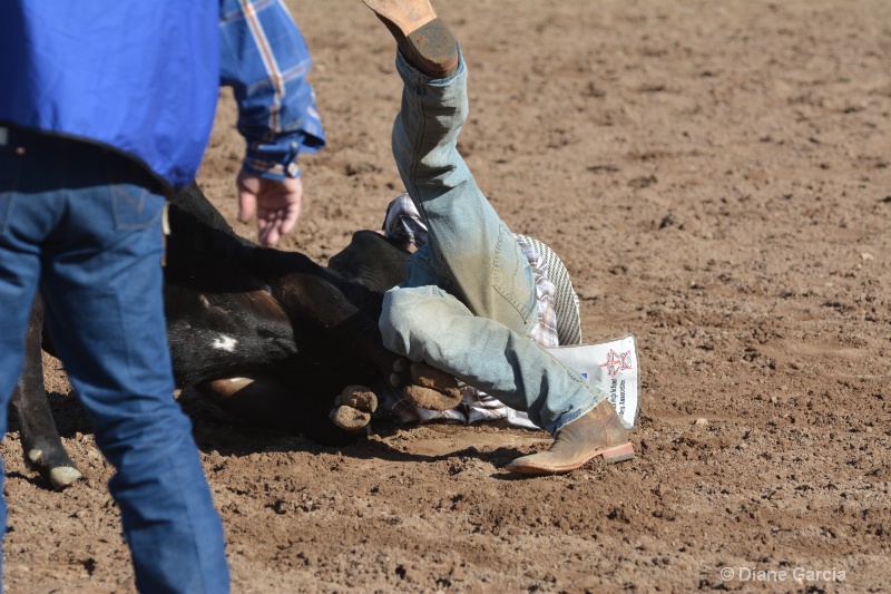 brek sanderson jr high rodeo nephi 2015 7 - ID: 14992899 © Diane Garcia