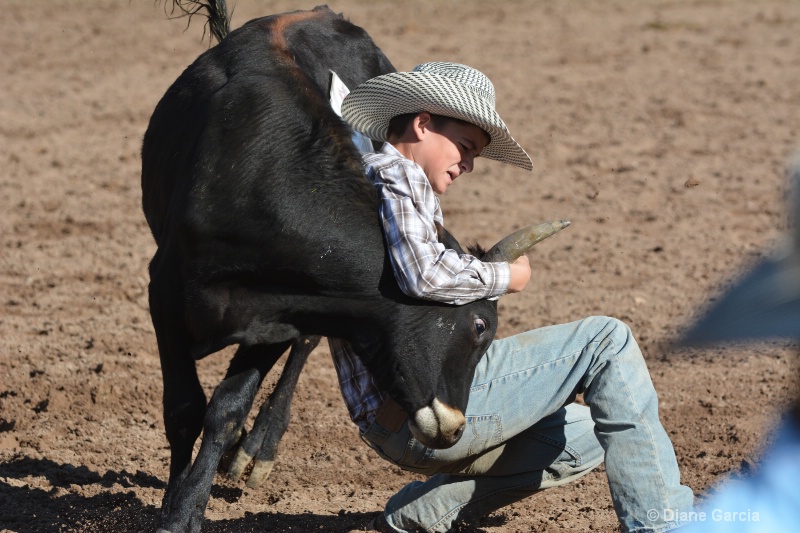 brek sanderson jr high rodeo nephi 2015 5 - ID: 14992902 © Diane Garcia