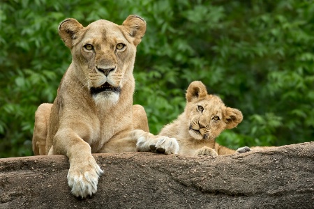 Mother and Daughter