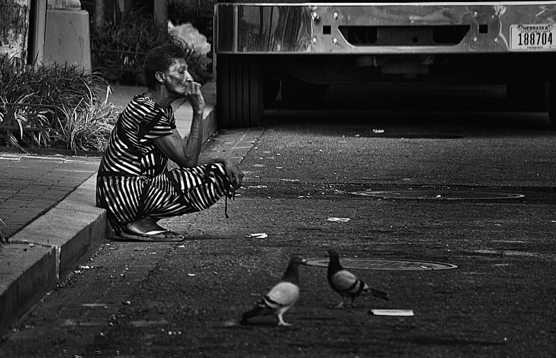 Homeless an smoke and pigeons