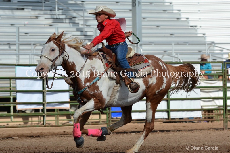 brylee allan jr high rodeo nephi 2015 8 - ID: 14993547 © Diane Garcia