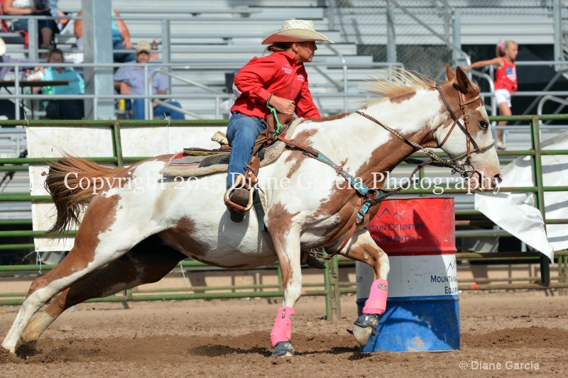 brylee allan jr high rodeo nephi 2015 7 - ID: 14993548 © Diane Garcia