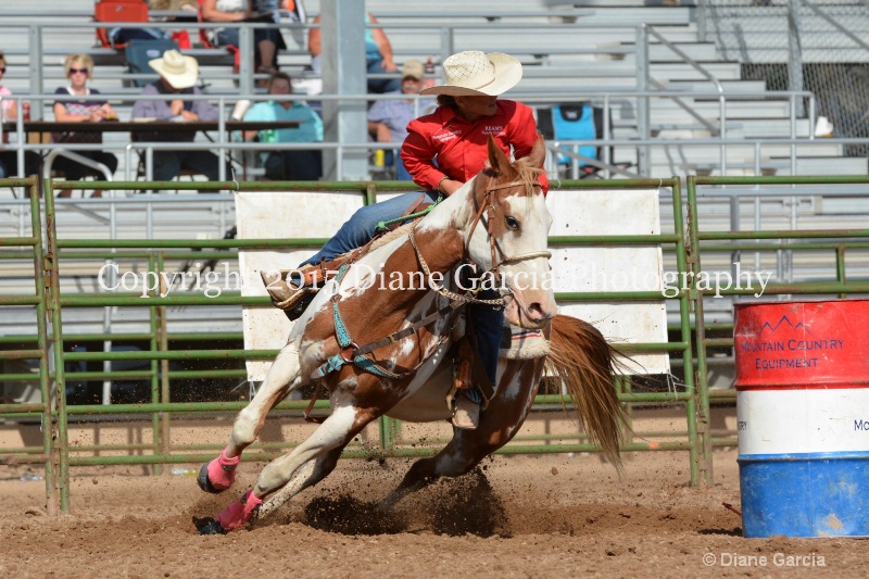 brylee allan jr high rodeo nephi 2015 6 - ID: 14993549 © Diane Garcia