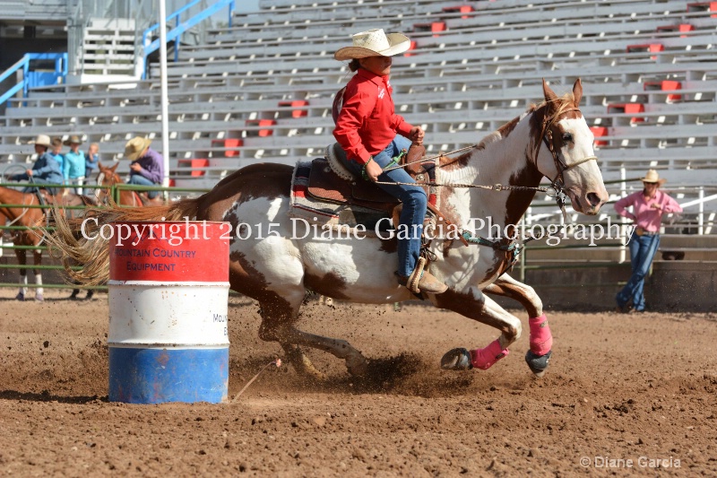 brylee allan jr high rodeo nephi 2015 4 - ID: 14993551 © Diane Garcia