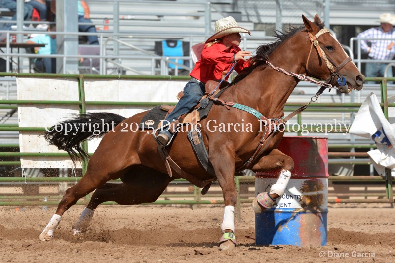 braylee shepherd jr high rodeo nephi 2015 13 - ID: 14993554 © Diane Garcia