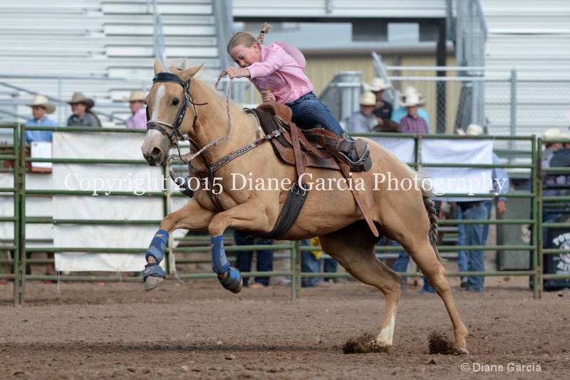 birklee jones jr high rodeo nephi 2015 13 - ID: 14993560 © Diane Garcia